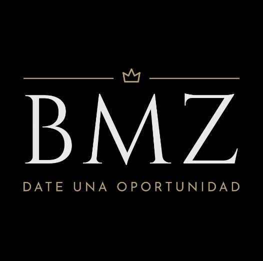 Bmz Official